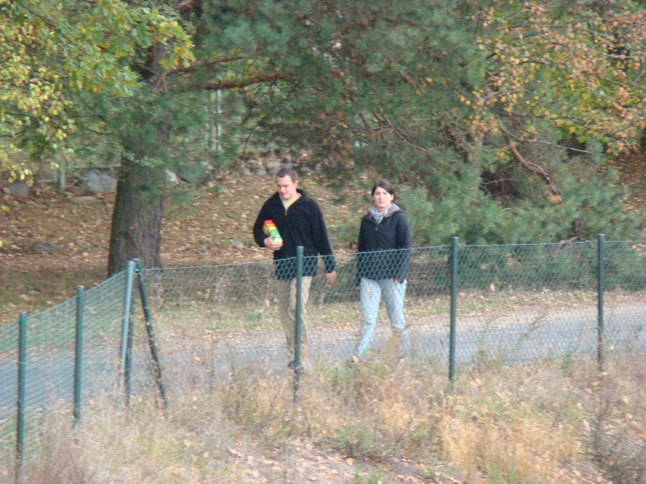 marcinimagda.jpg