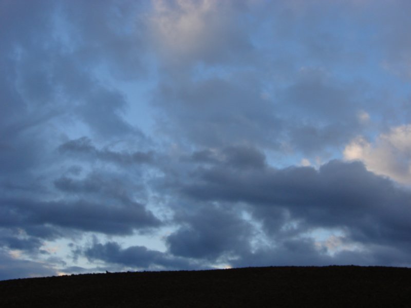 dsc01294.jpg