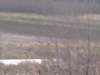 dsc01303_small.jpg