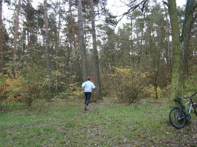 dsc03270.jpg