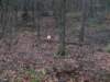 pb160113_small.jpg