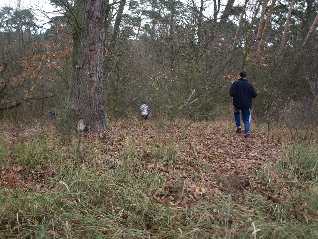 pb160209.jpg