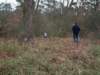 pb160209_small.jpg
