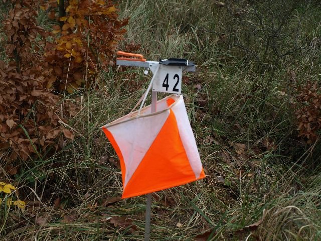 pb160210.jpg