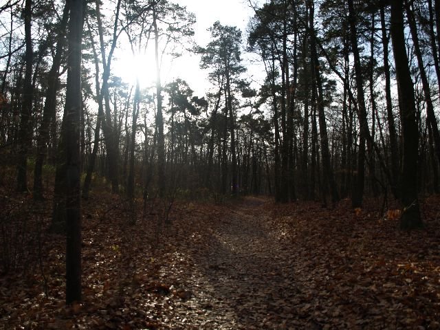 pb160232.jpg