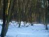 photo43_small.jpg
