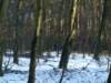 photo44_small.jpg