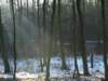 photo46_small.jpg