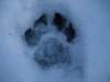 photo78_small.jpg